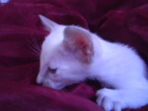 K640_Sandy 015.jpg