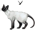 images/avatars/avatar-155.gif
